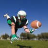 Leadership | 5 Gridiron Lessons for Business Success
