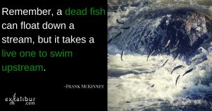 Read more about the article Monday Quote of the Week: Swimming Against the Current?