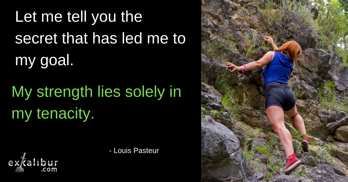 Perseverance by any other name … Tenacity perhaps?